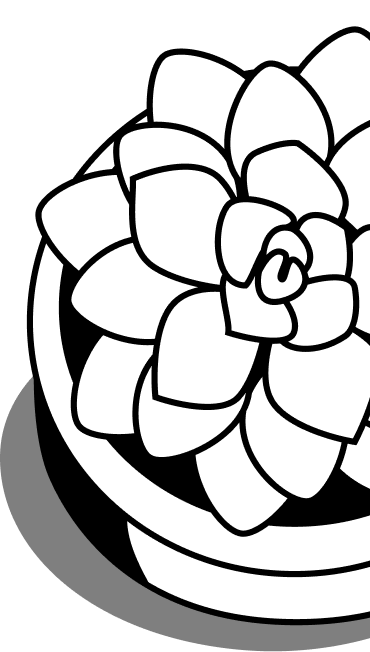 Black and white succulent